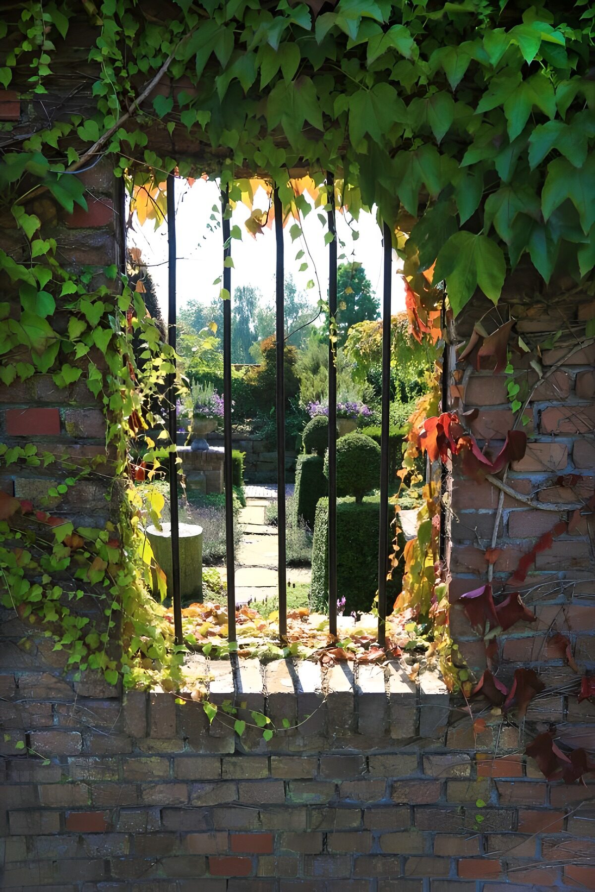 Sunlit garden through a barred brick window