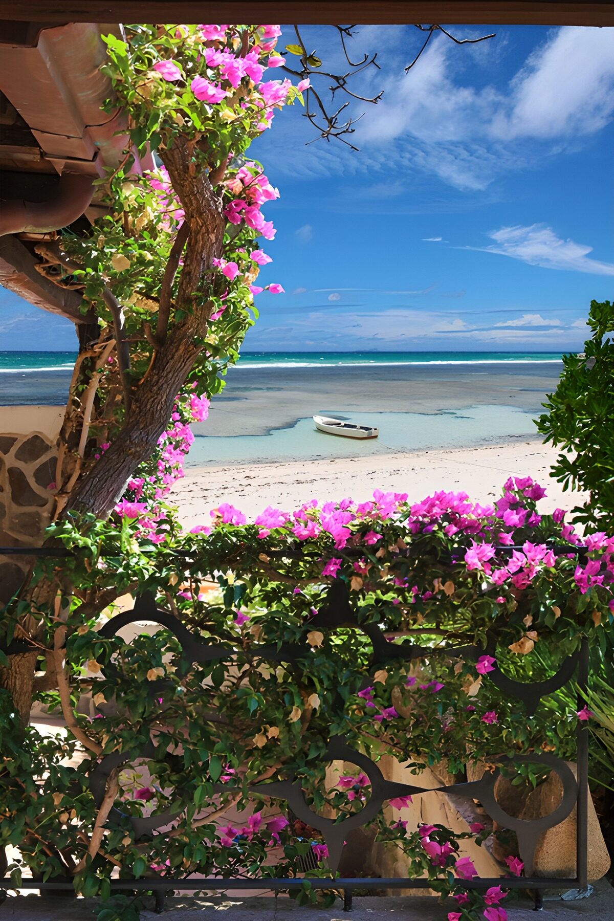 Bougainvillea above a sunlit beach