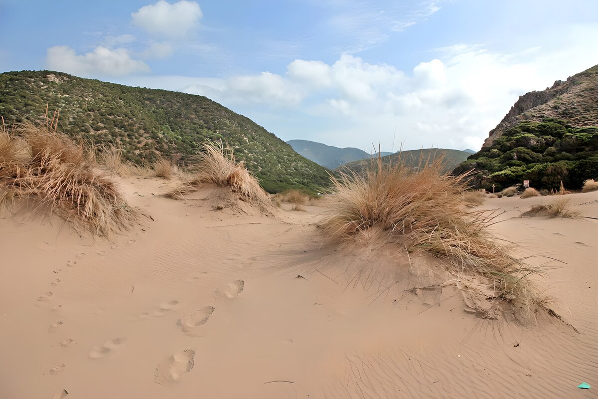 Sand dunes and grass beneath an open sky