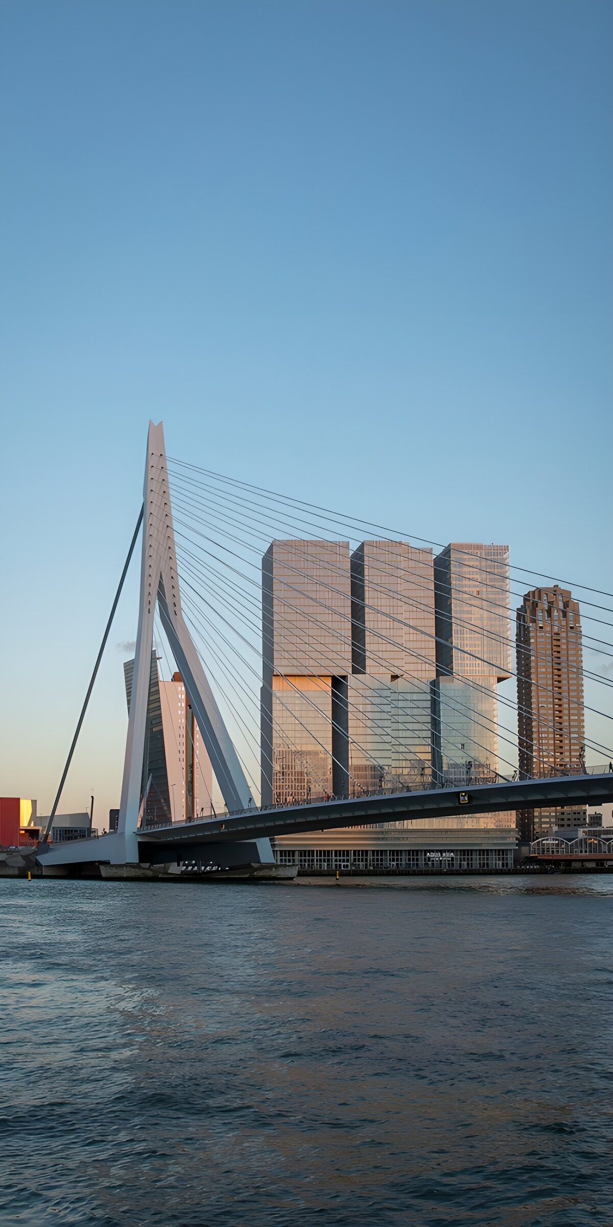 Erasmus Bridge in warm light