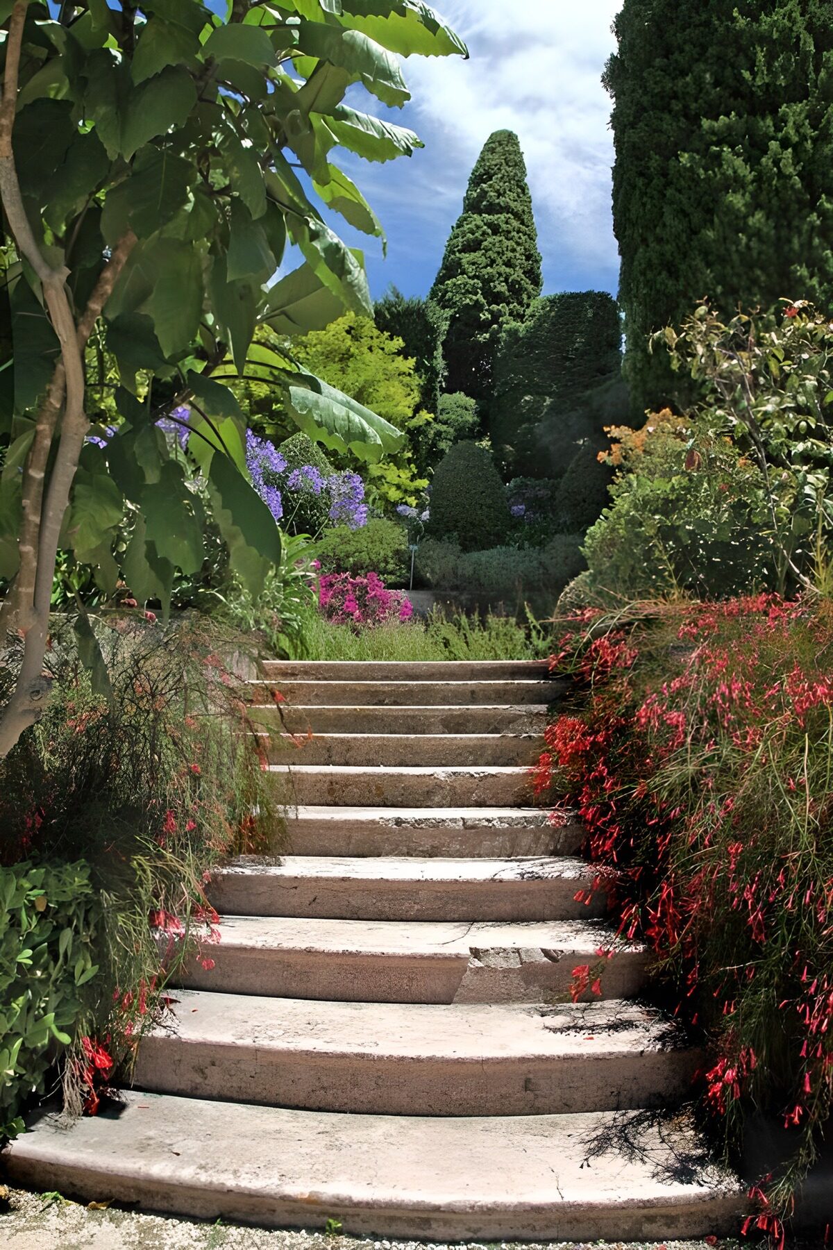 Sunlit stone steps among garden flowers