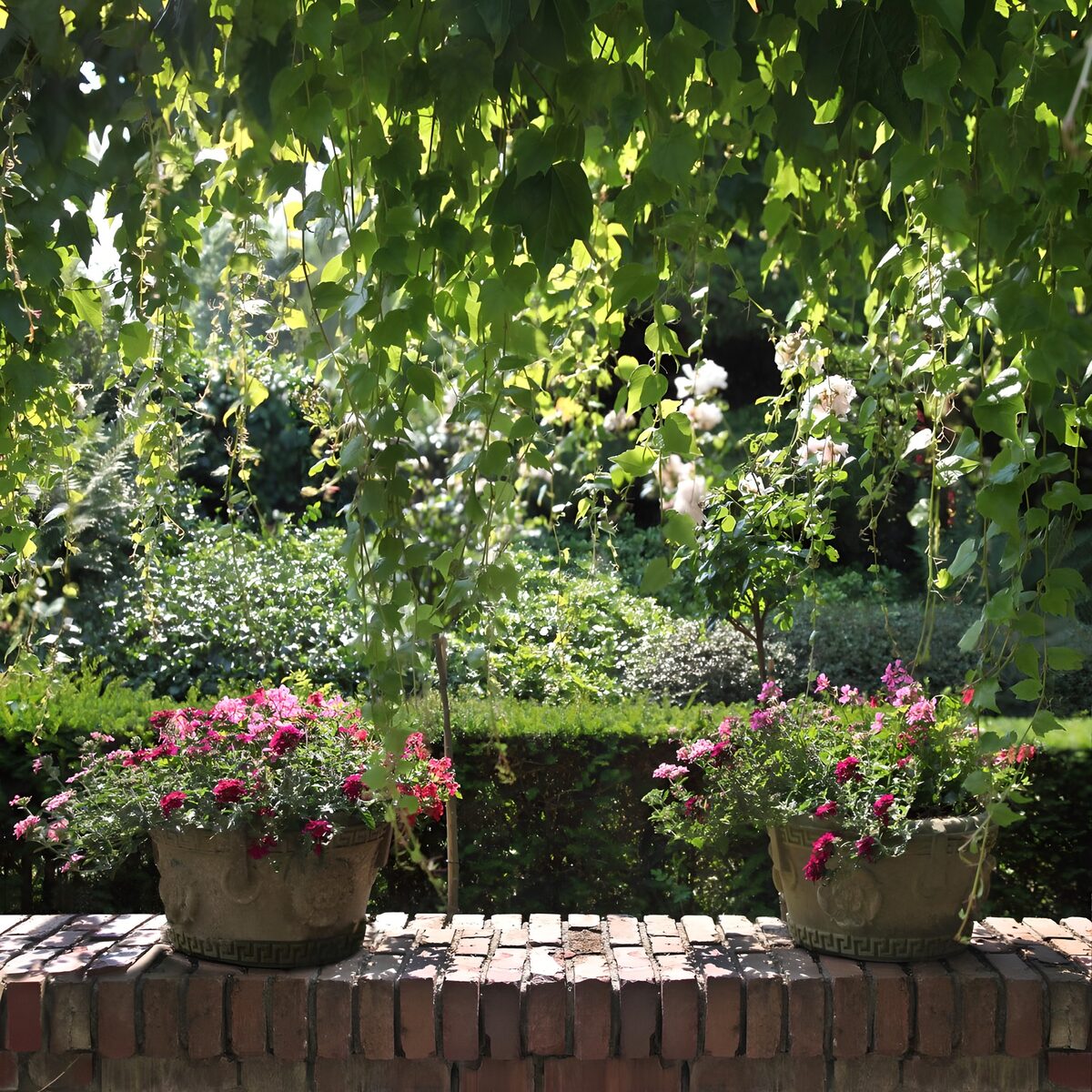 Two flowerpots in dappled shade