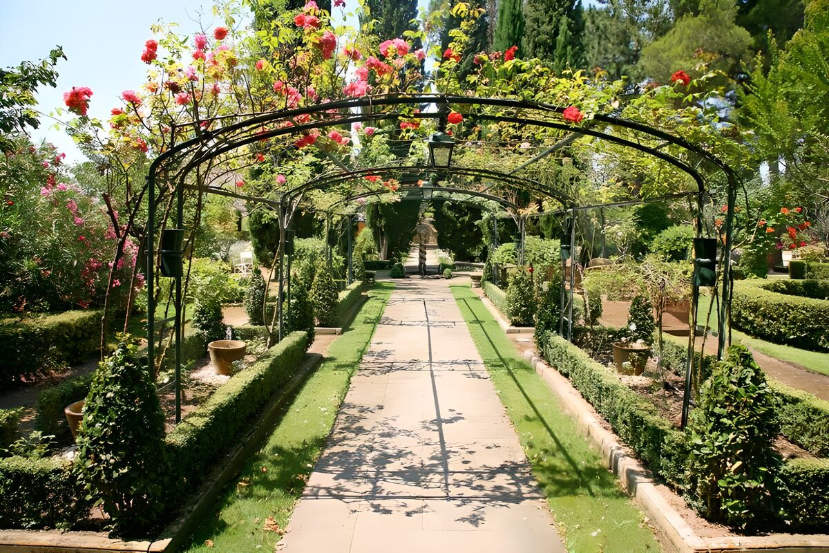 Sunlit path beneath rose-covered arches