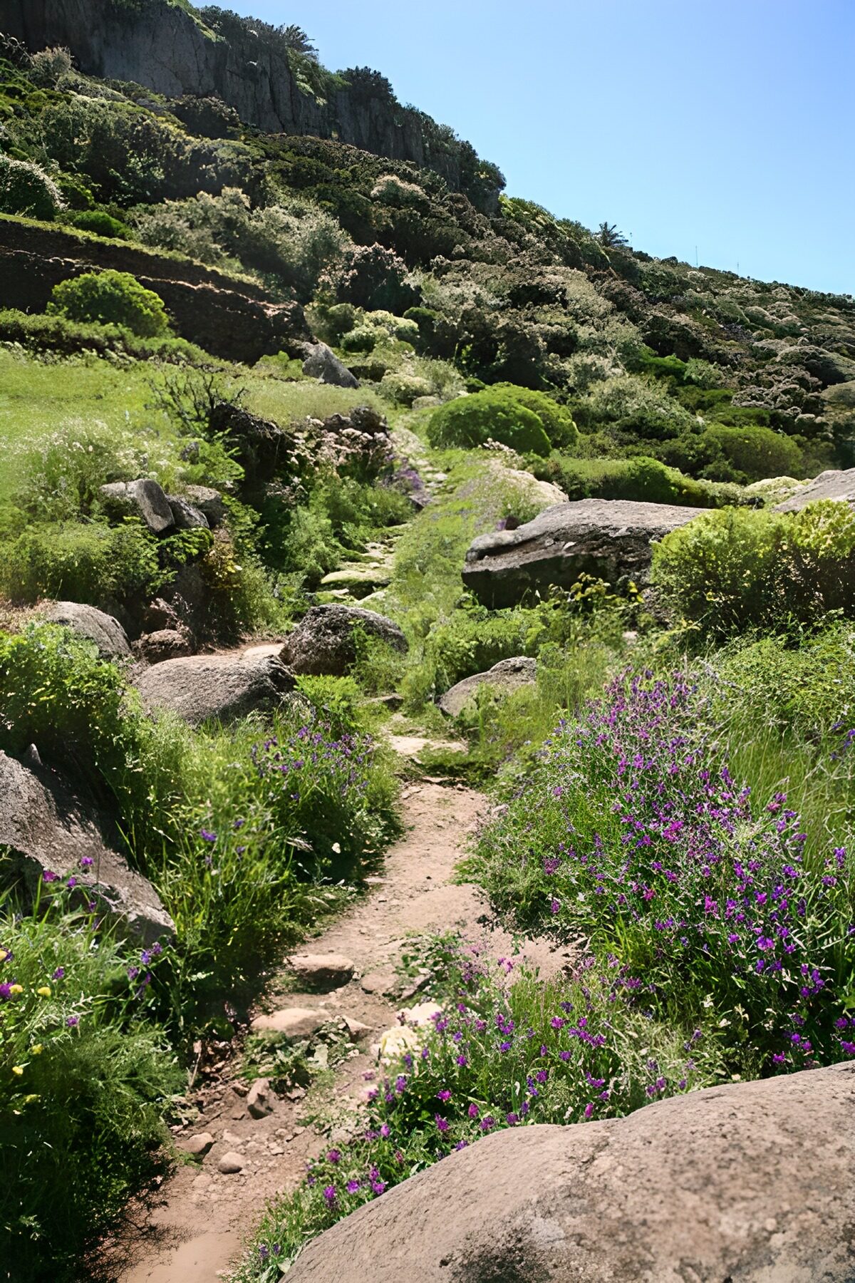 Rocky hillside path in the sunshine