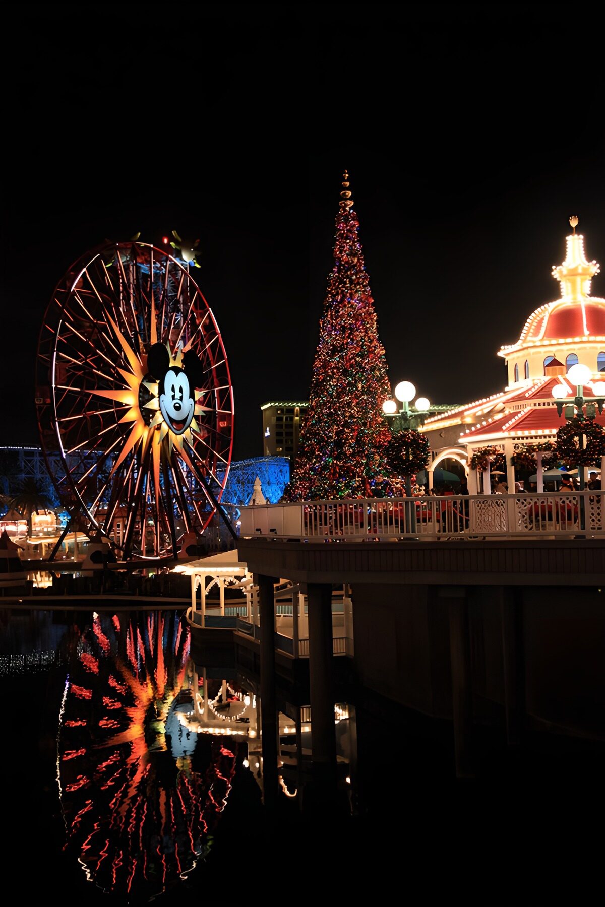 Ferris wheel and Christmas lights at night