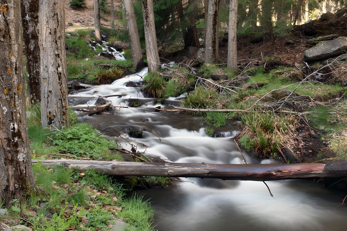 Woodland stream over rocks in soft light
