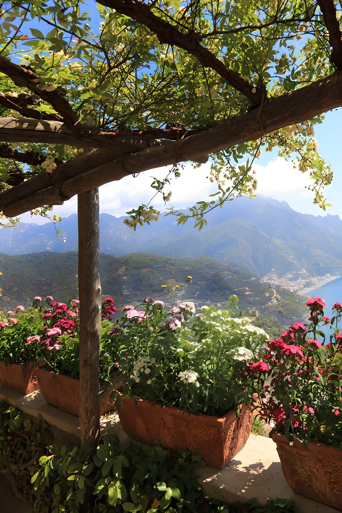 Flower-filled terrace with a mountain view