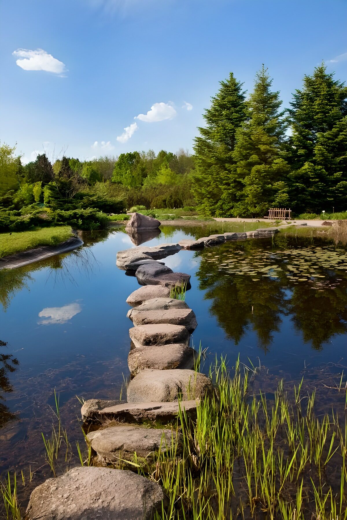 Stepping stones across a sunlit pond