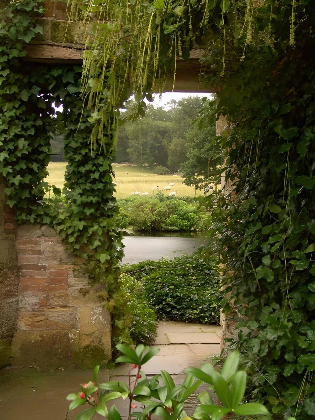 Ivy-covered walls and a sunlit meadow