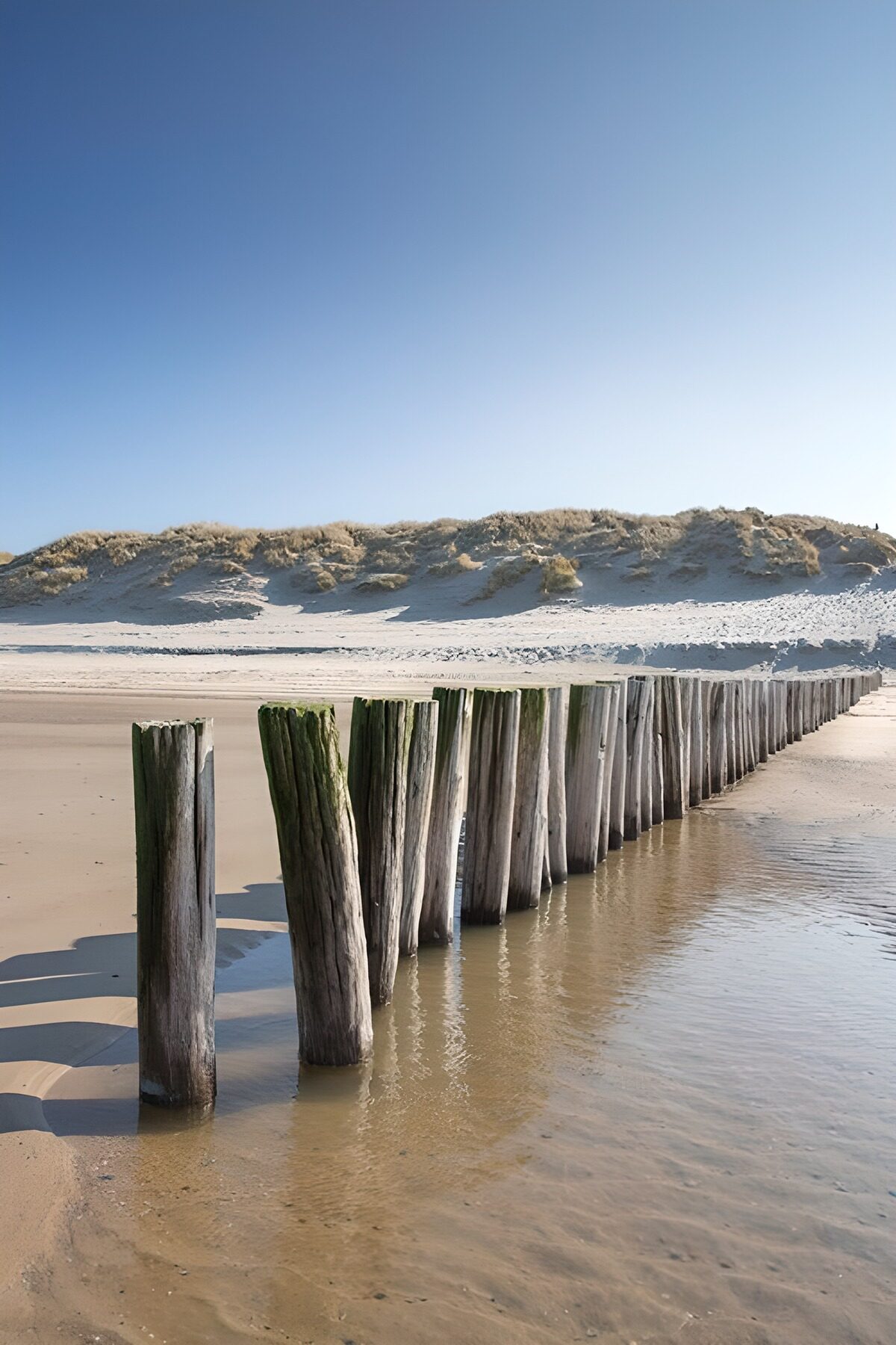 A quiet shore stitched with wooden posts