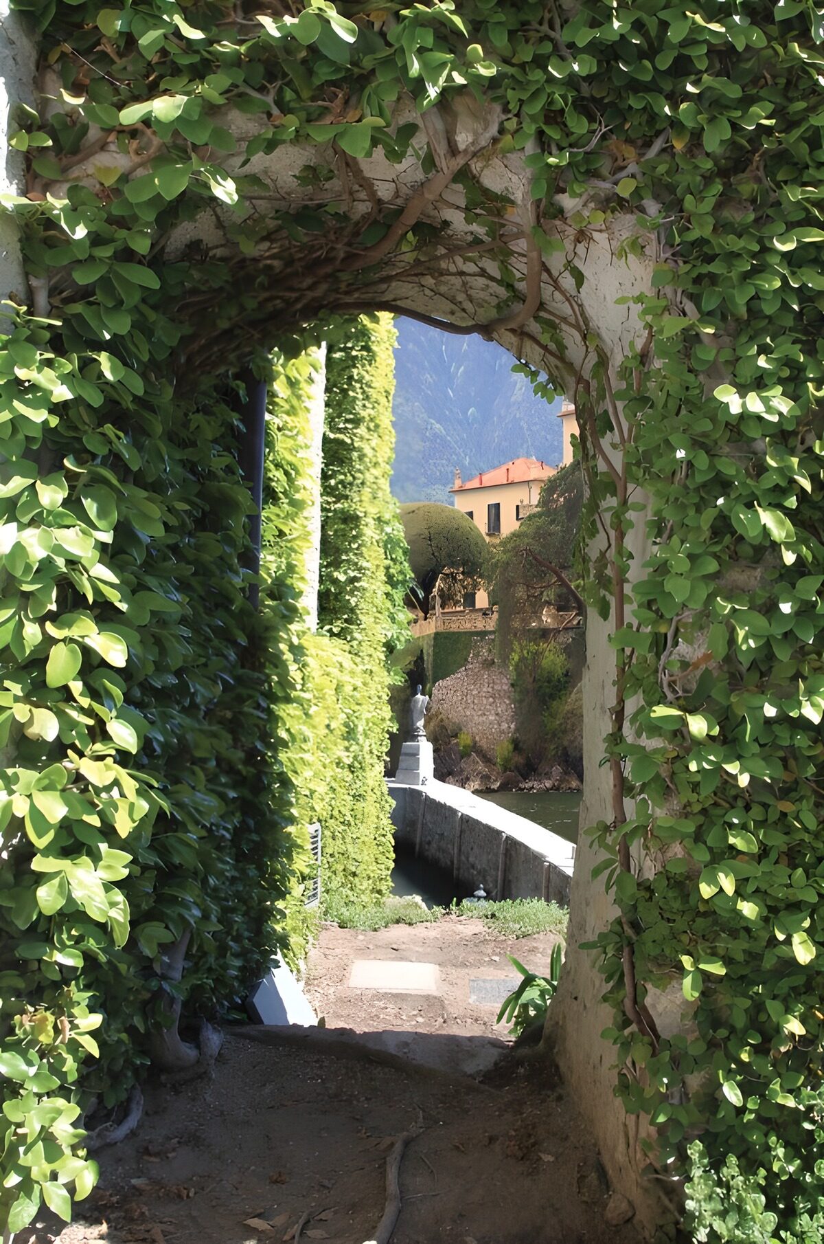 Leaf-covered arch and sunlit garden