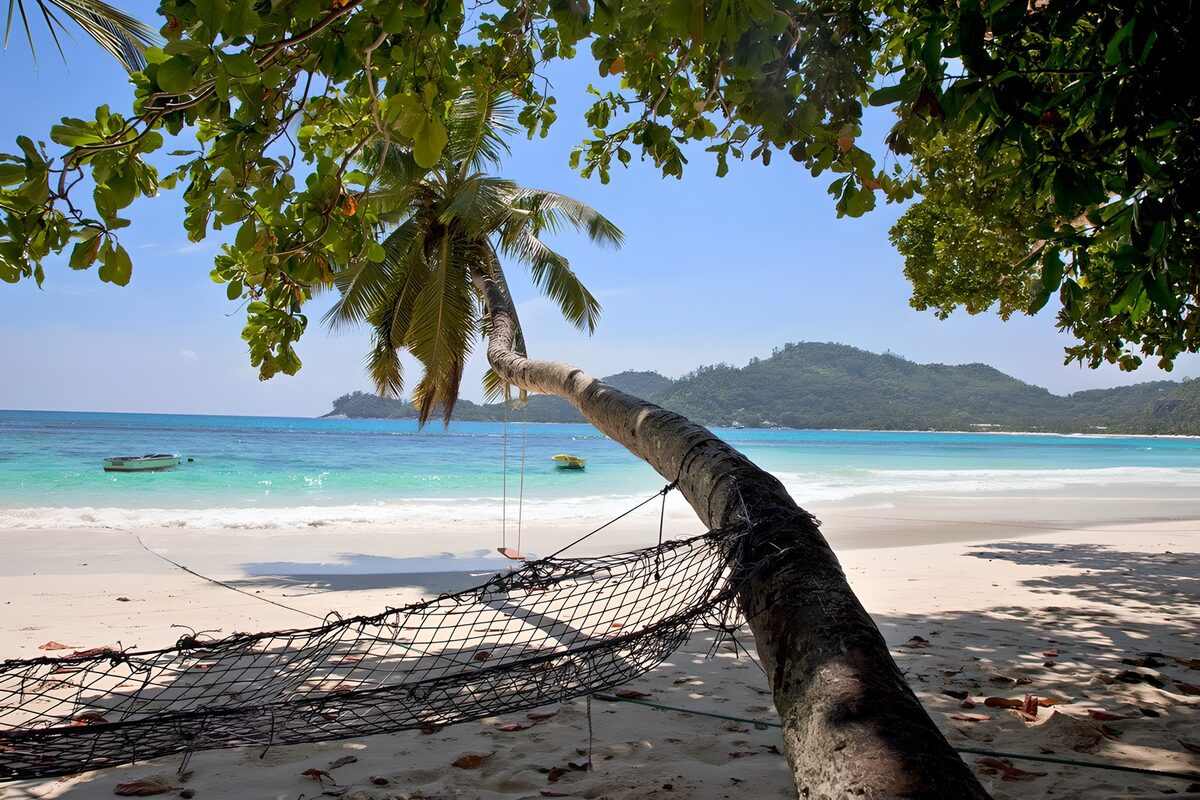 Palm-shaded beach with a hammock