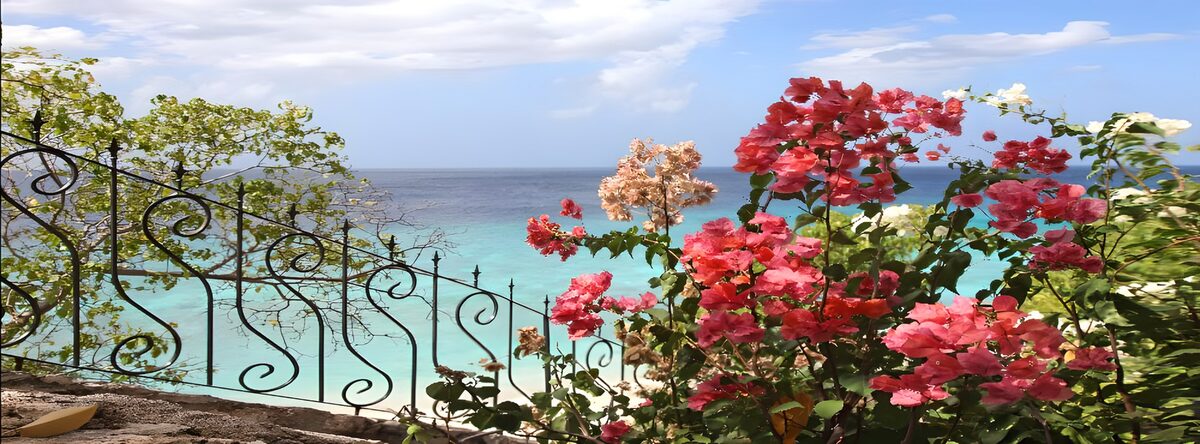 Bougainvillea above a sunlit sea