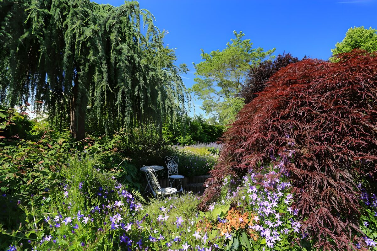 Purple flowers around a shady garden table