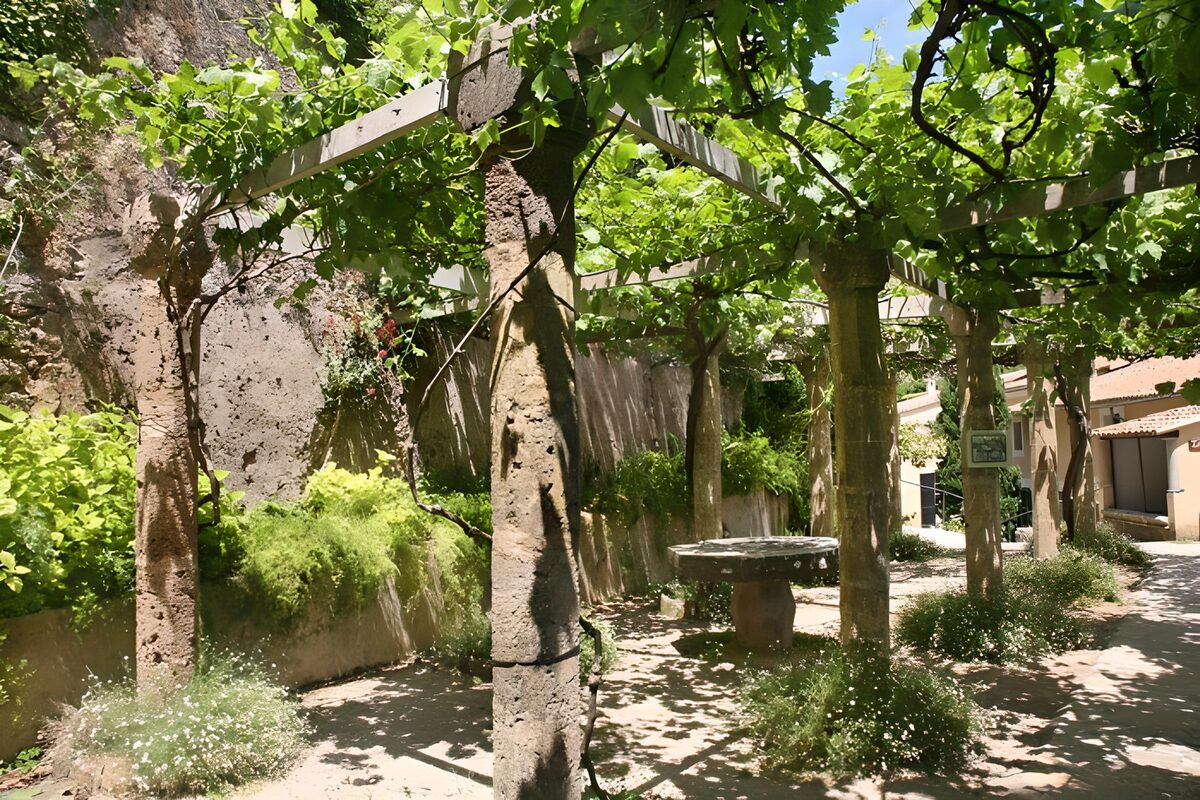 Sunlit courtyard beneath a leafy pergola