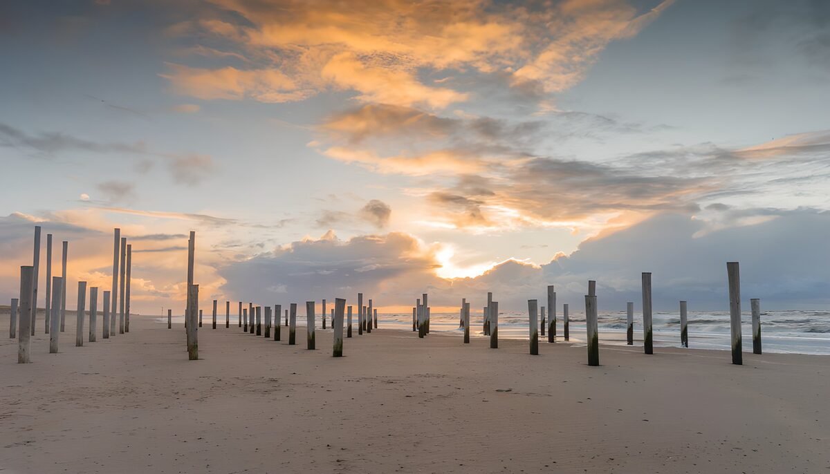 Beach posts beneath a golden sunset