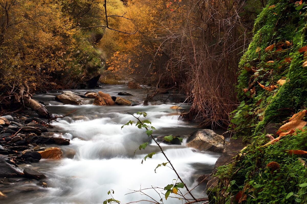 Rocky stream in a quiet autumn wood