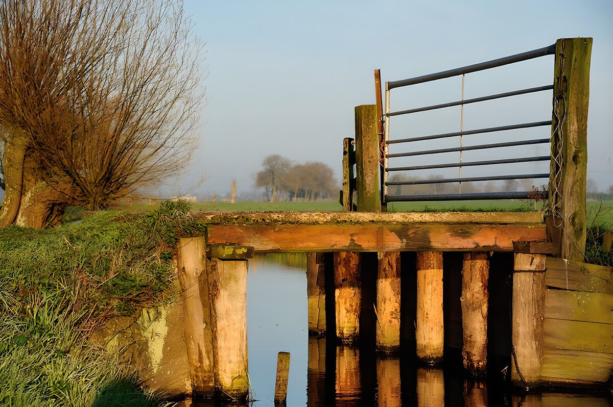 Farm gate and wooden crossing in warm light