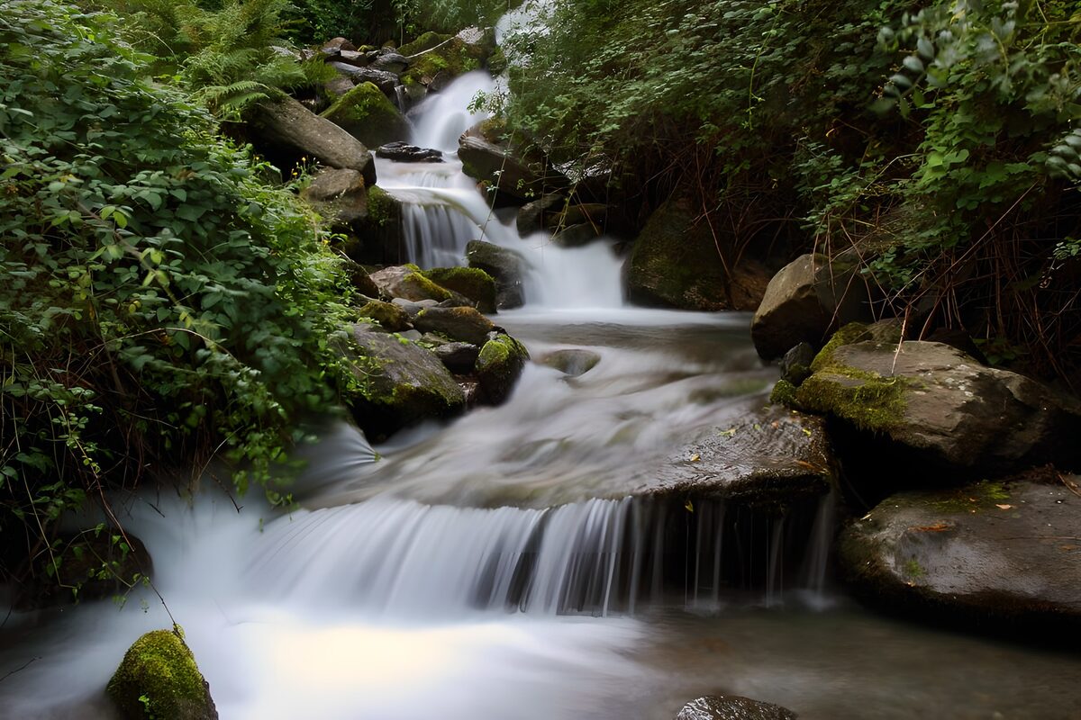 Woodland cascades in soft shade