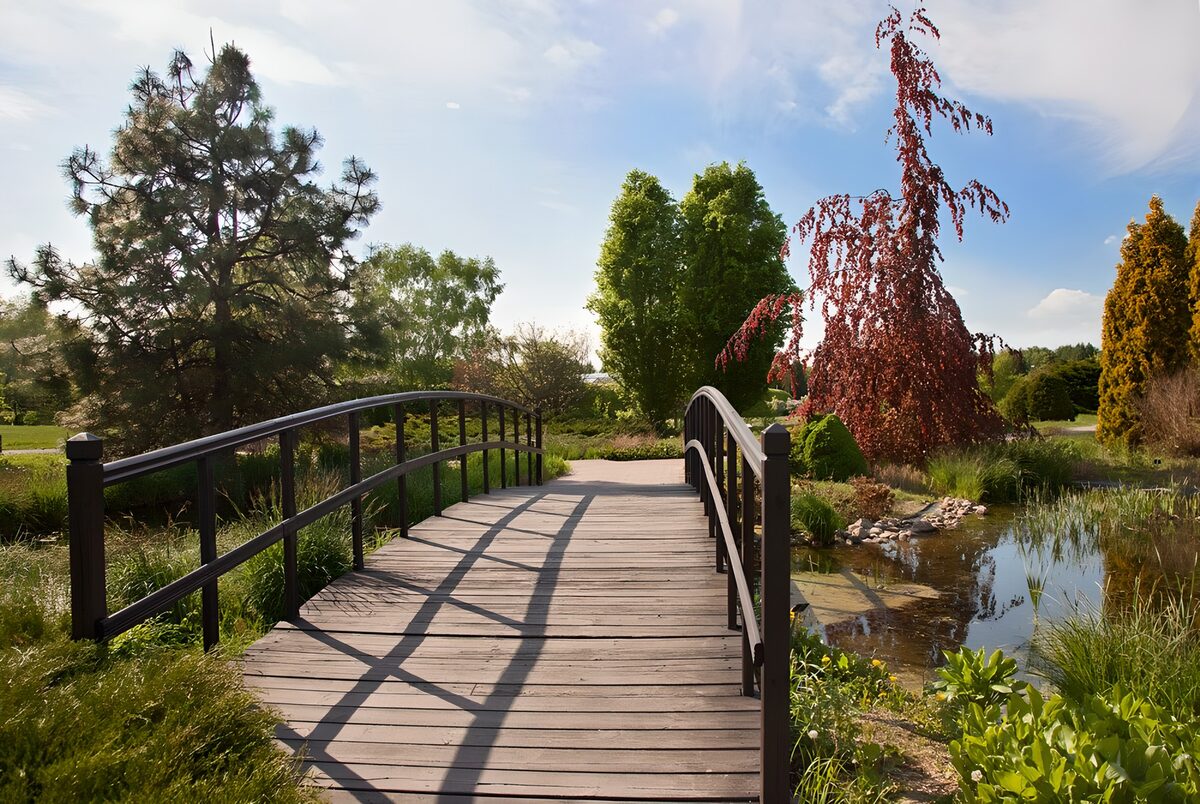 Sunlit wooden bridge over a garden pond