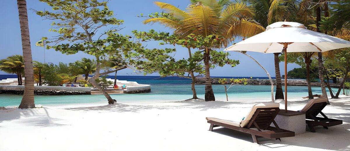 Sun loungers in the palm shade