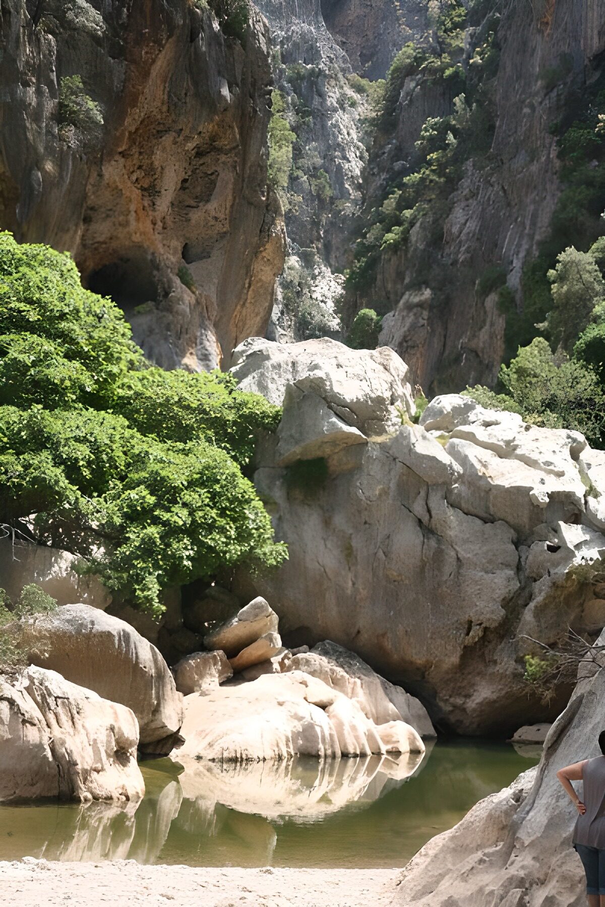 Green pool beneath sunlit gorge walls