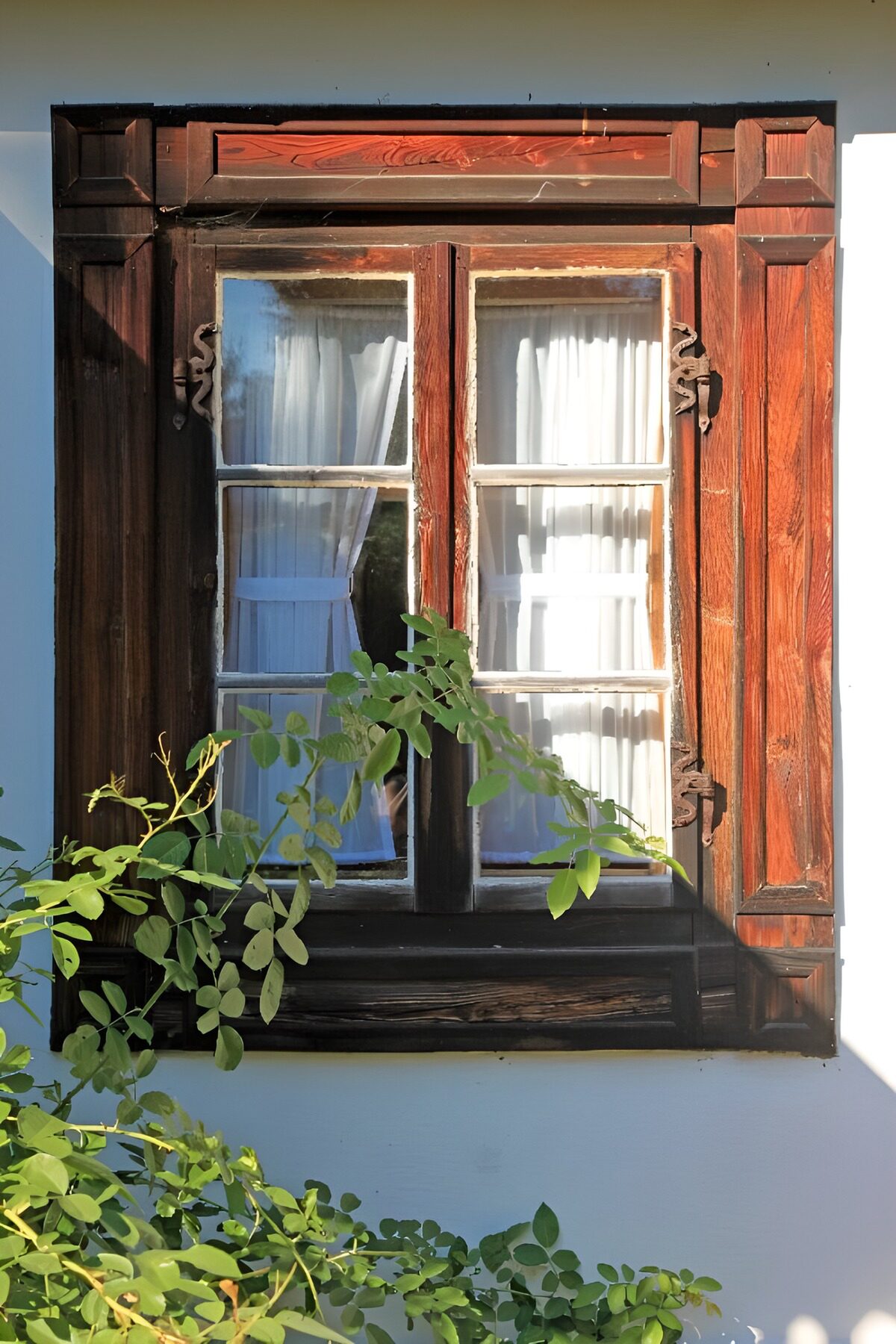 Wooden window with a leafy fringe