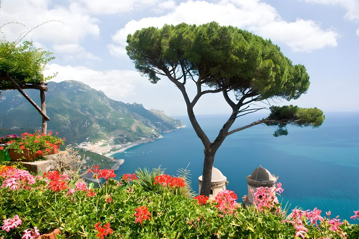 Sunny terrace with pine and sea views
