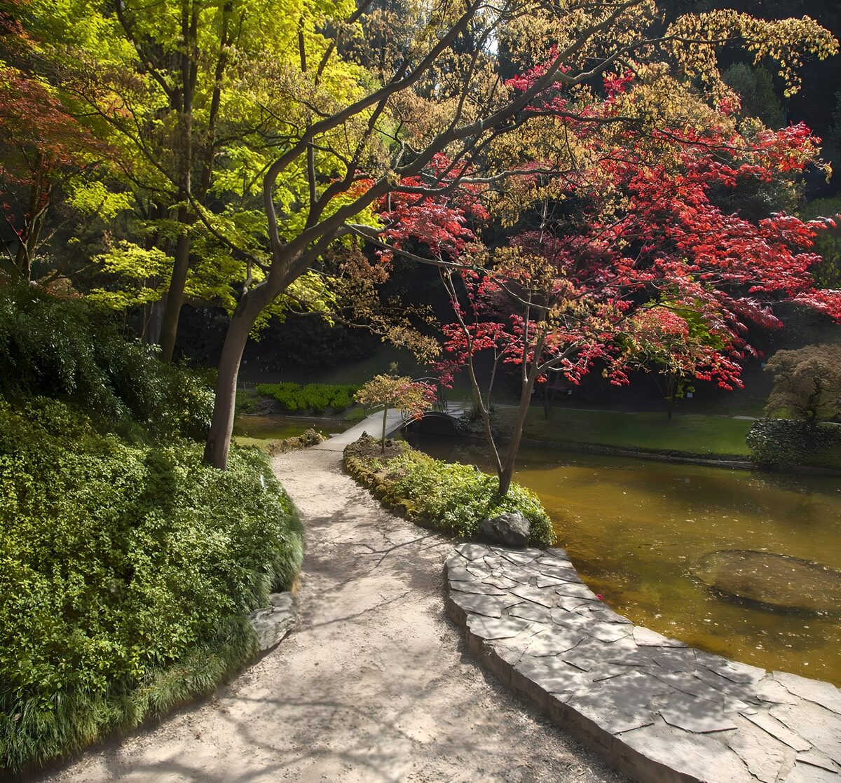 Winding path beside a sunlit garden pond