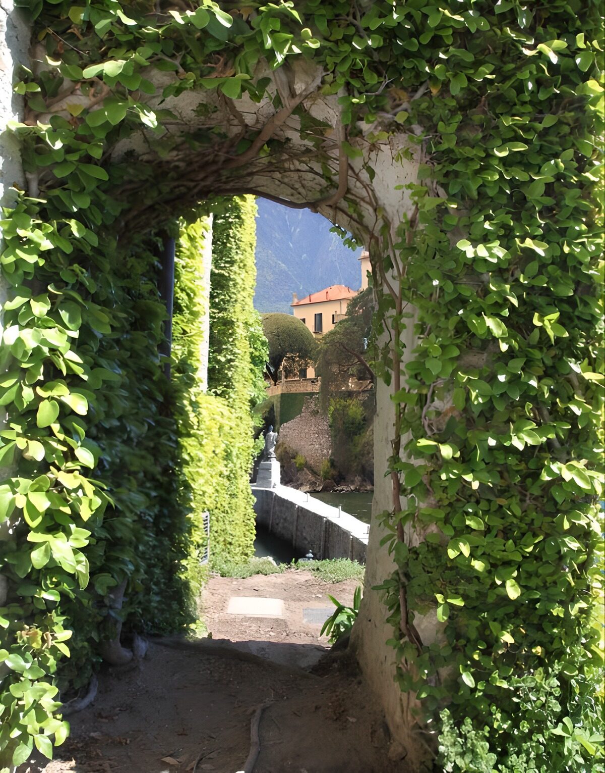 Leaf-covered arch into a sunlit garden
