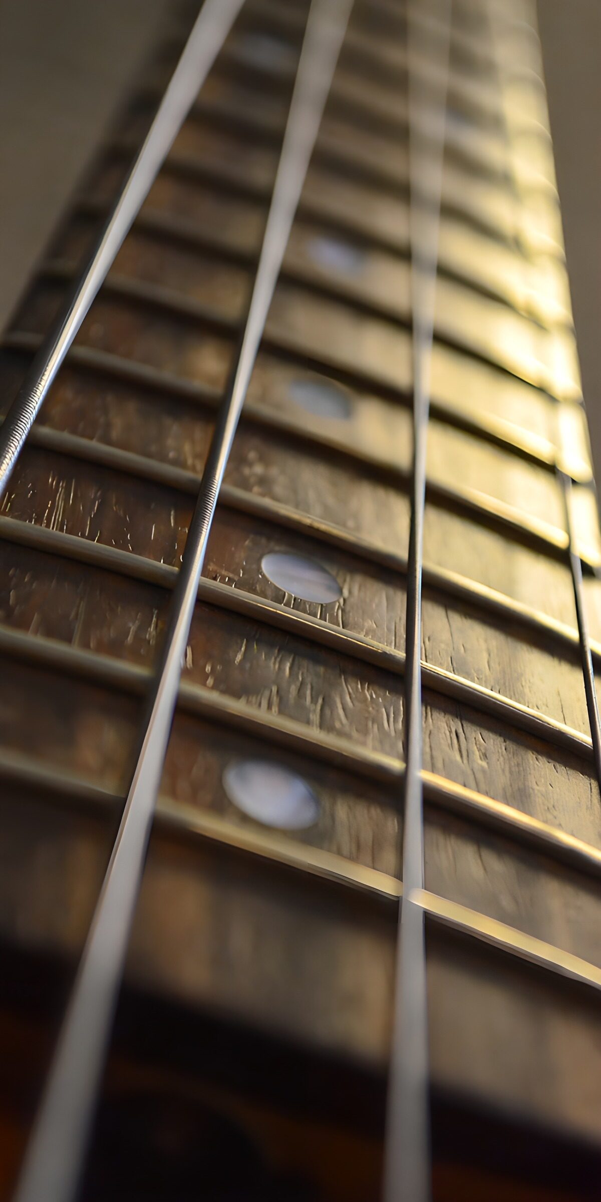 Guitar fretboard in warm light