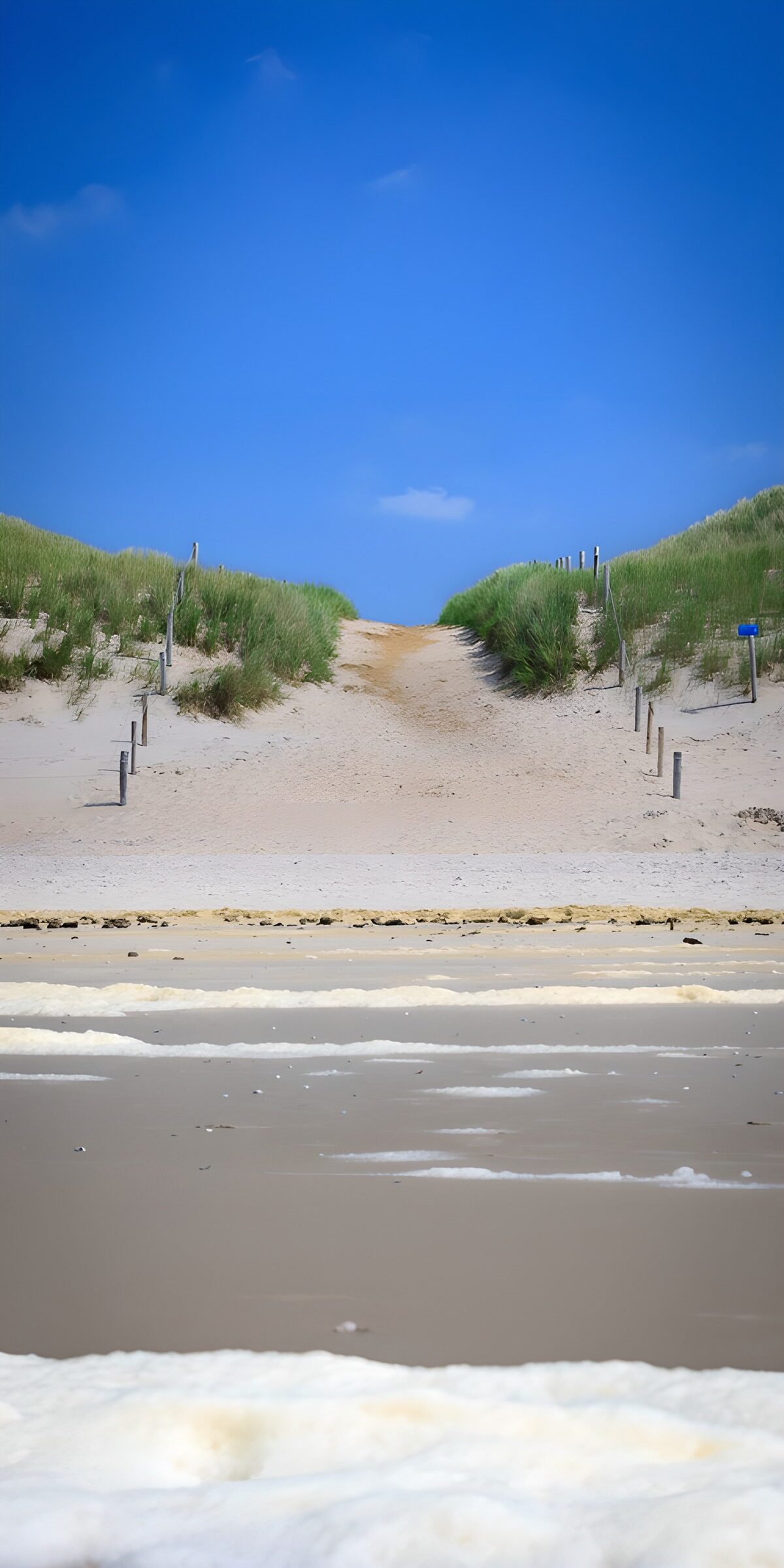 Beach and dune path under blue skies
