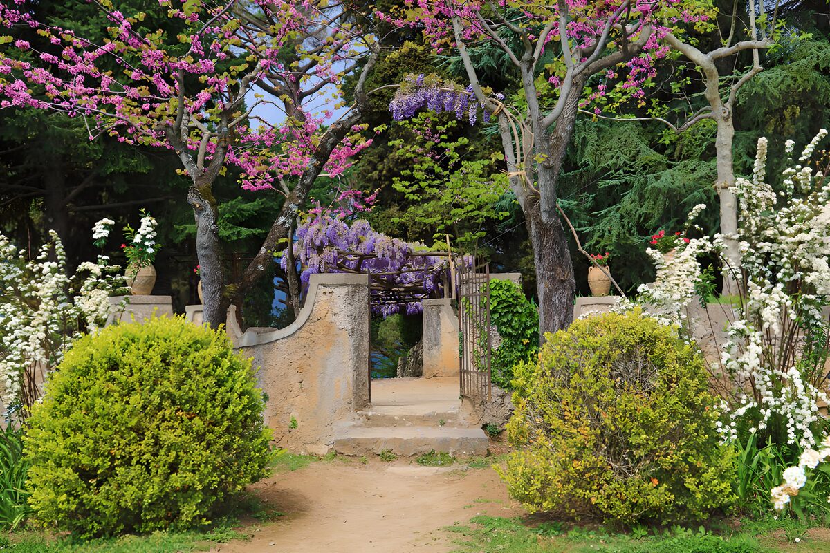 Garden gate among pink and white flowers