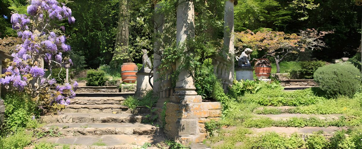 Wisteria over weathered garden steps