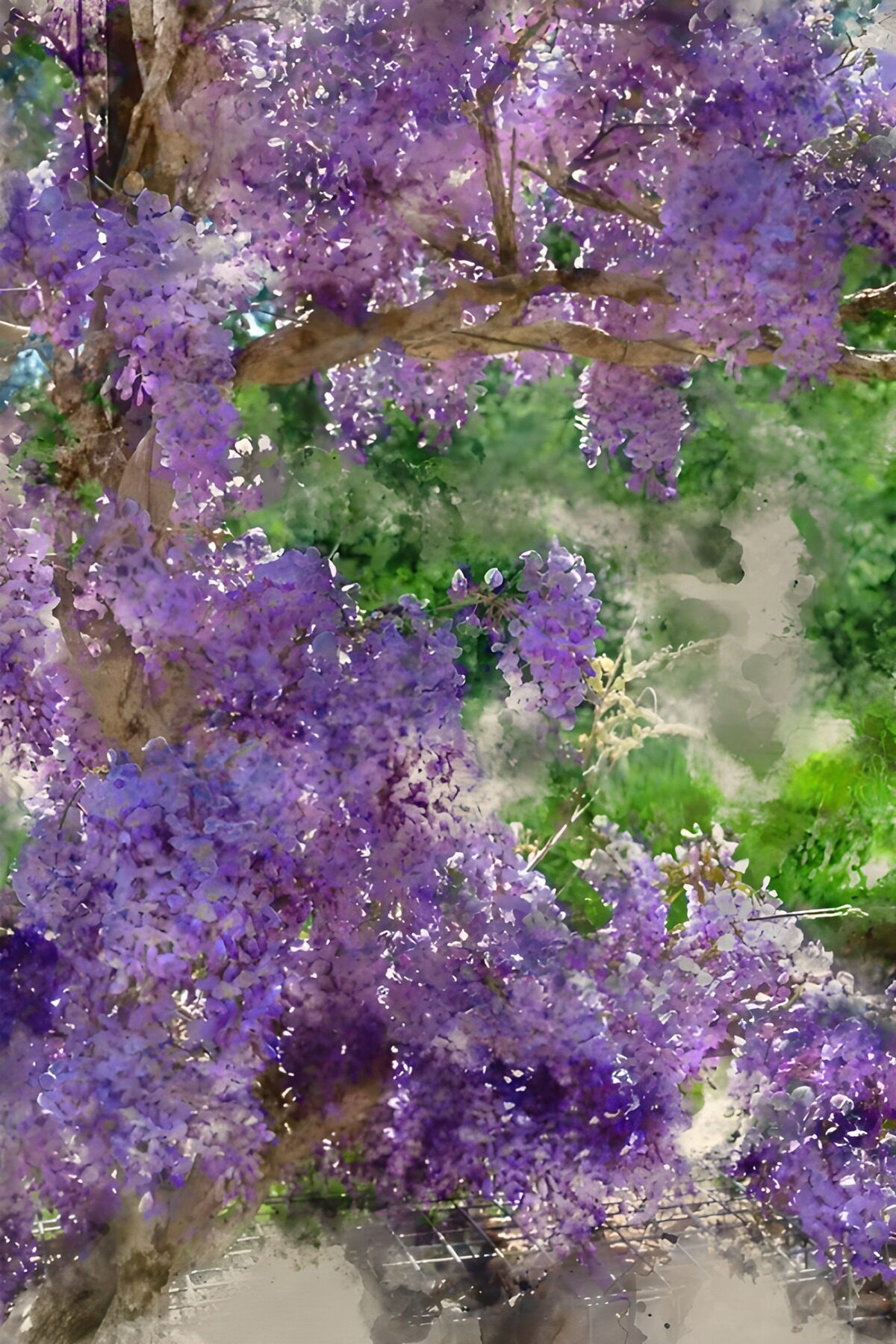 Purple wisteria in soft spring light