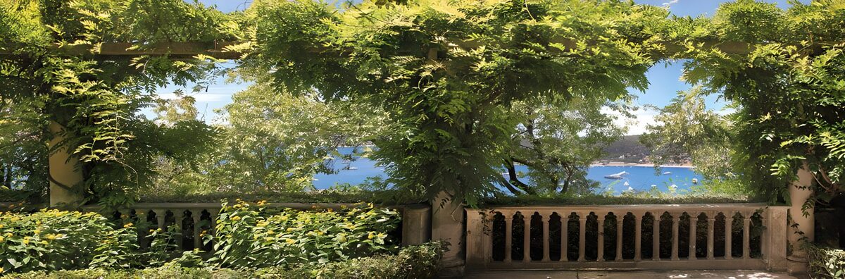 Leafy pergola above a sunlit bay
