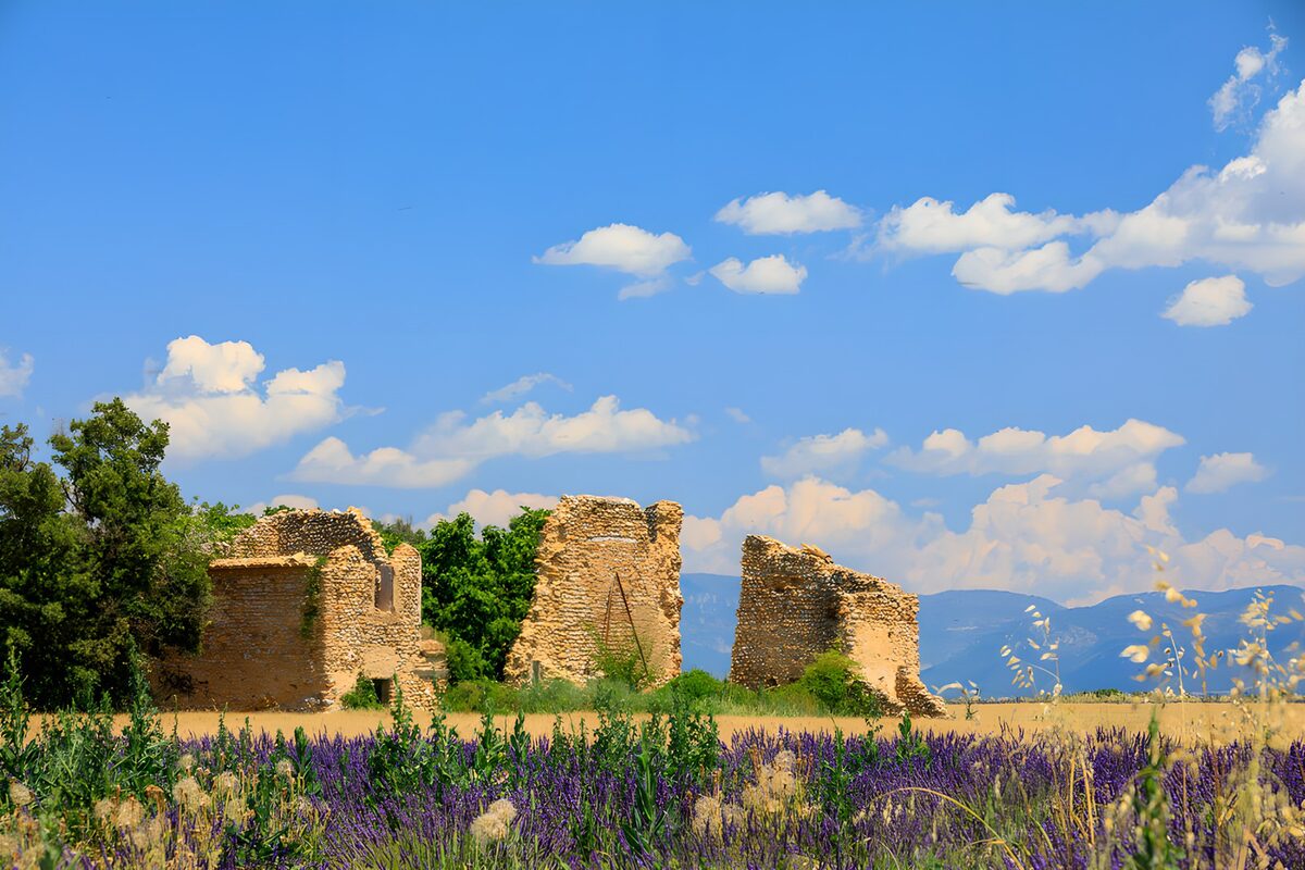 Sunlit stone ruins in a flowering field