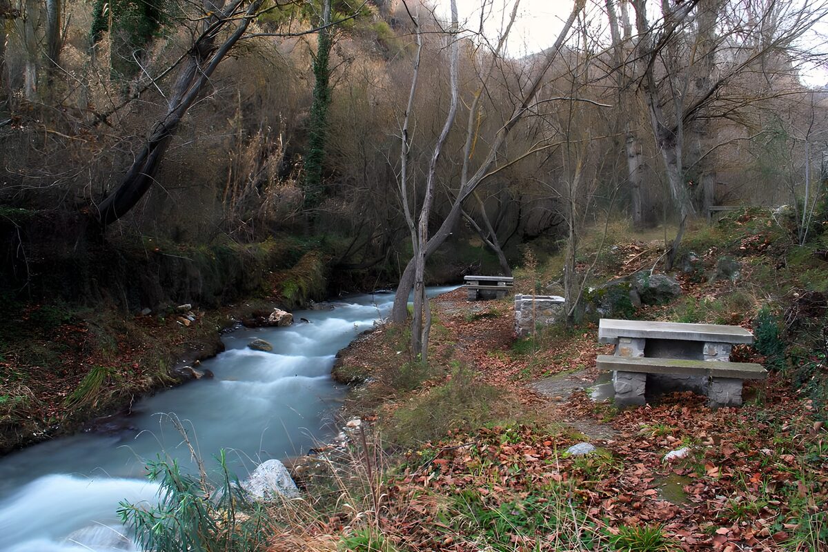 Quiet picnic tables by a woodland stream