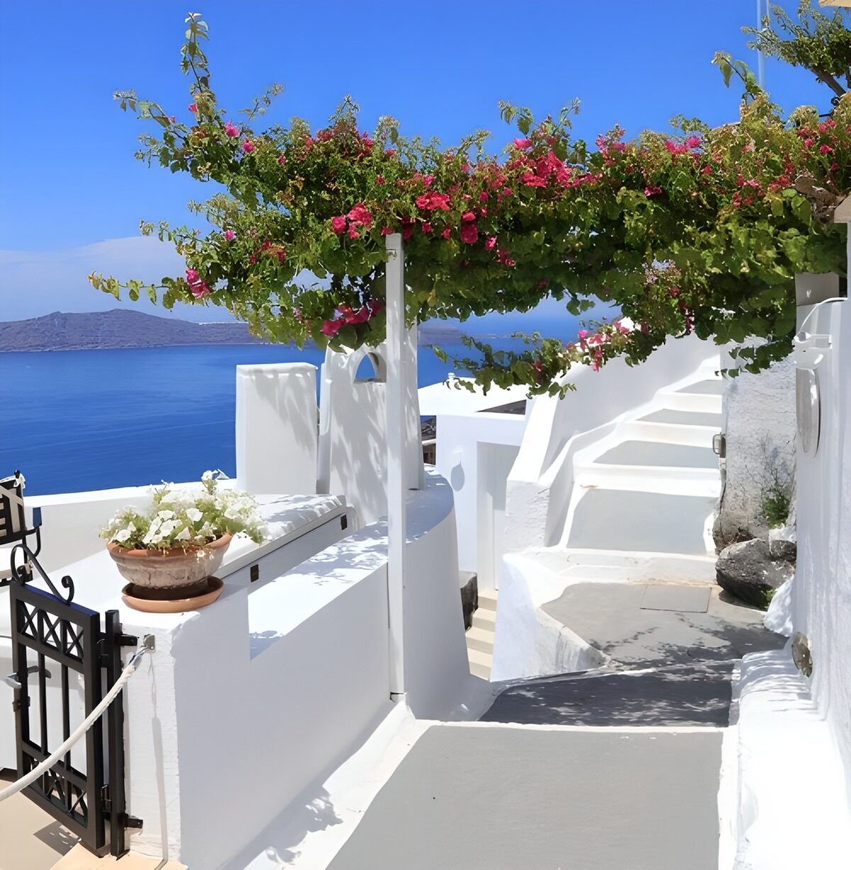 Sunlit steps beneath pink bougainvillea