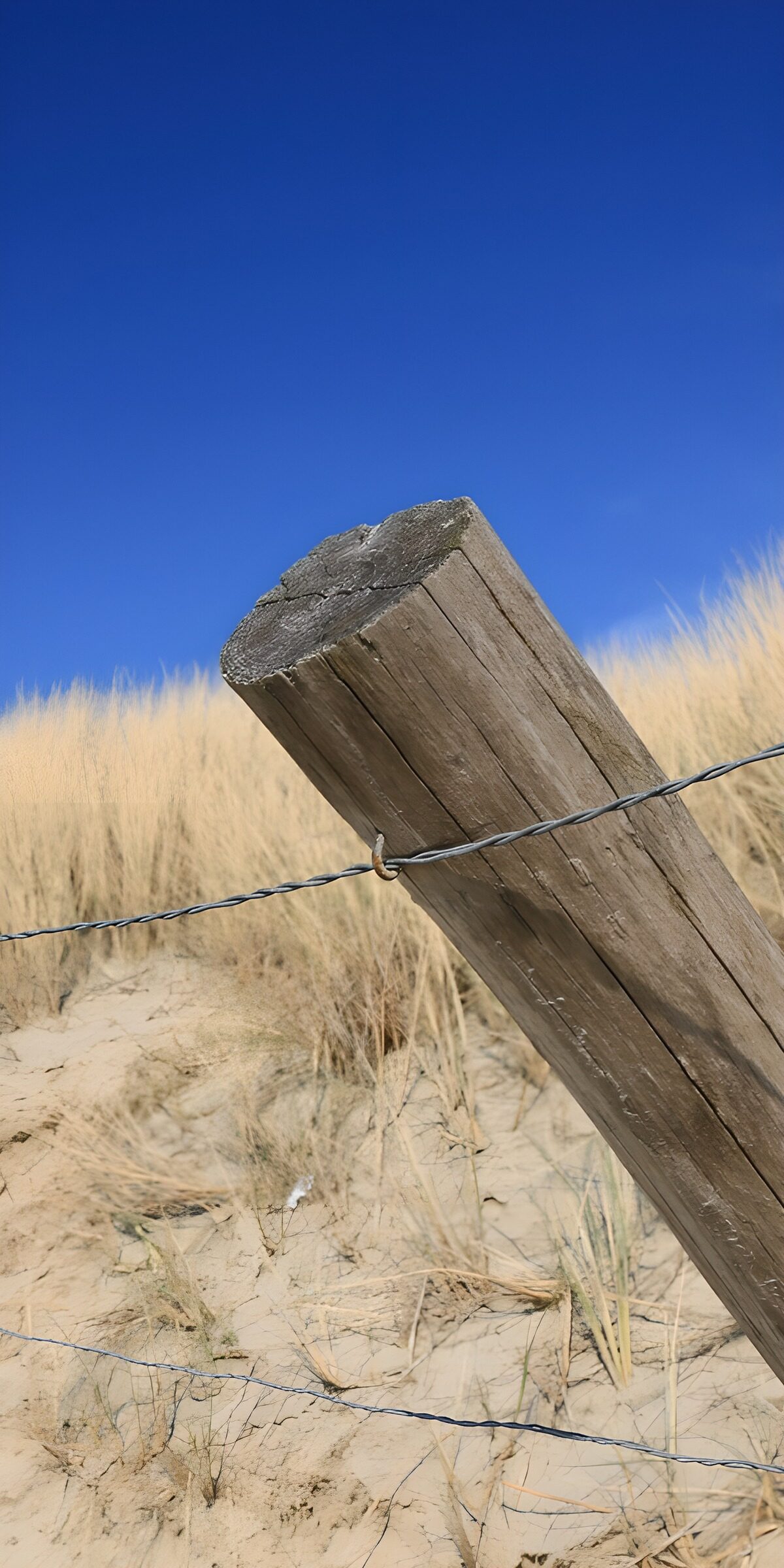 Leaning fence post in sunlit dunes