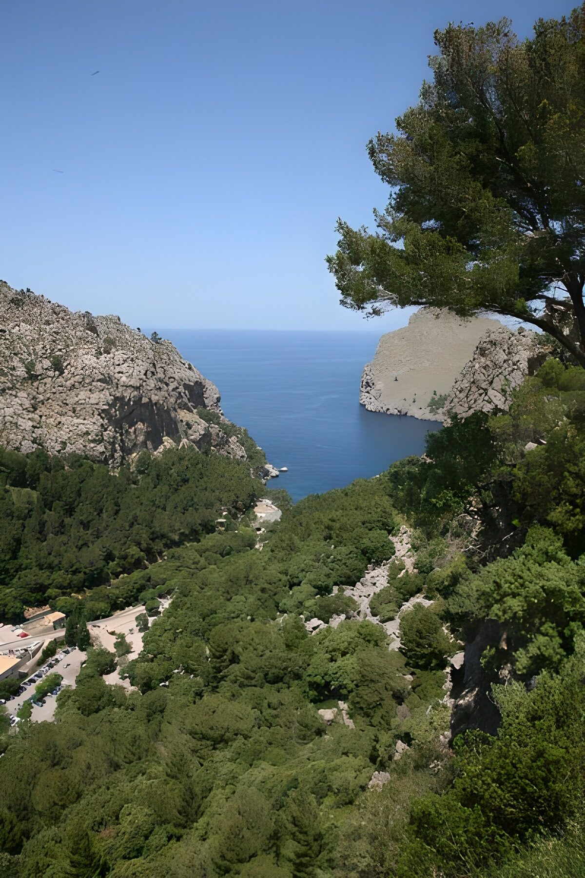 Sunlit cliffs above a wooded bay