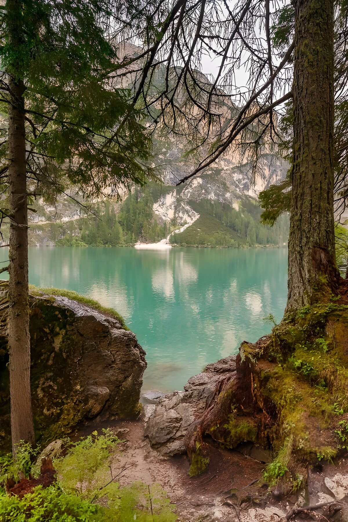 Turquoise lake framed by shadowy trees