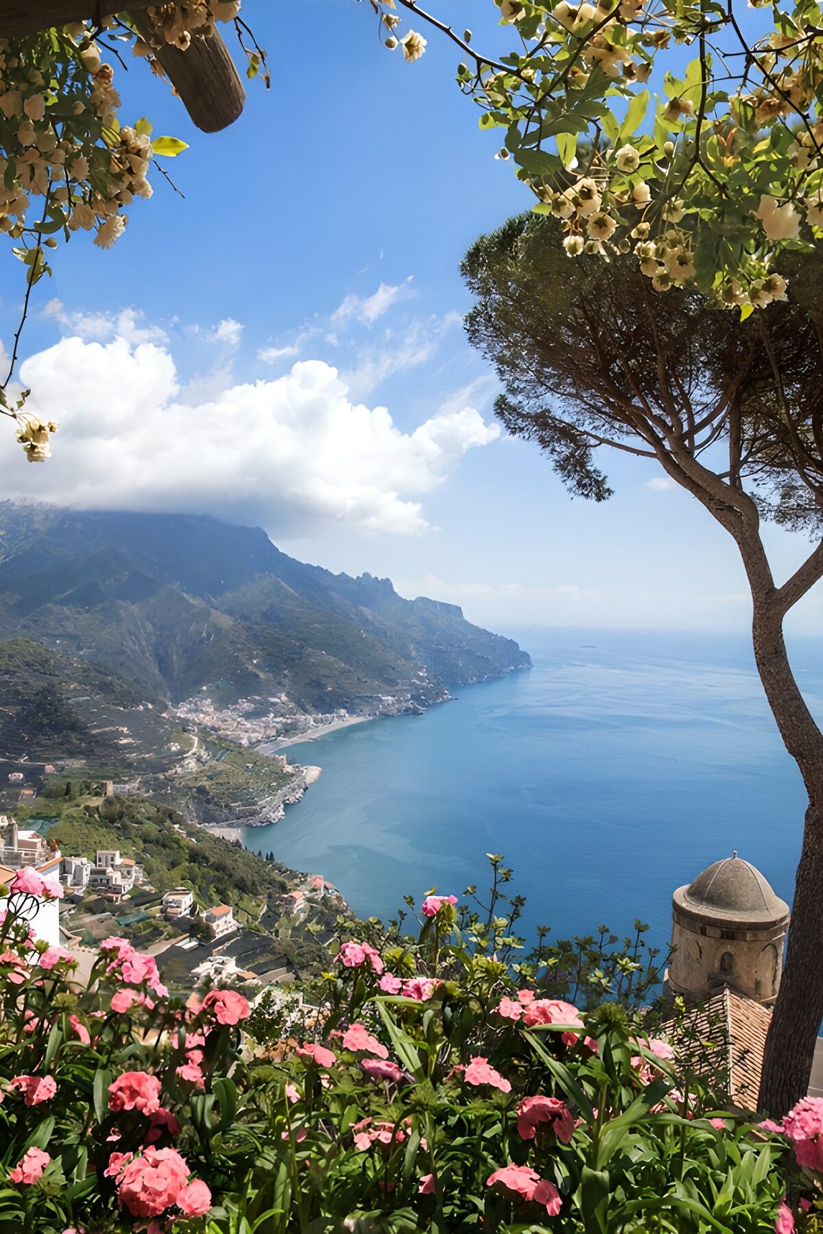 Pink flowers above a sunlit coastal bay