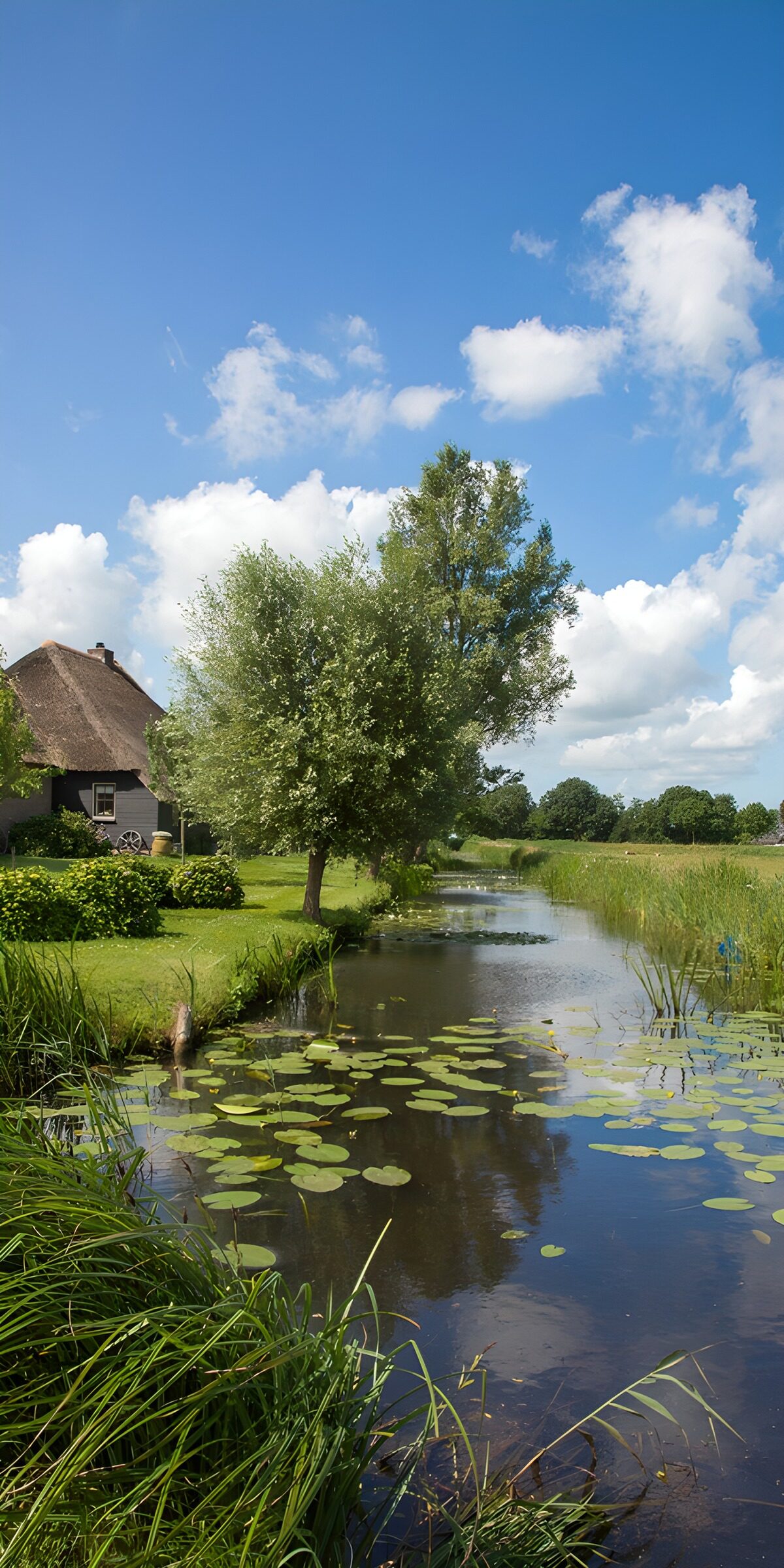 Thatched house beside a sunlit waterway