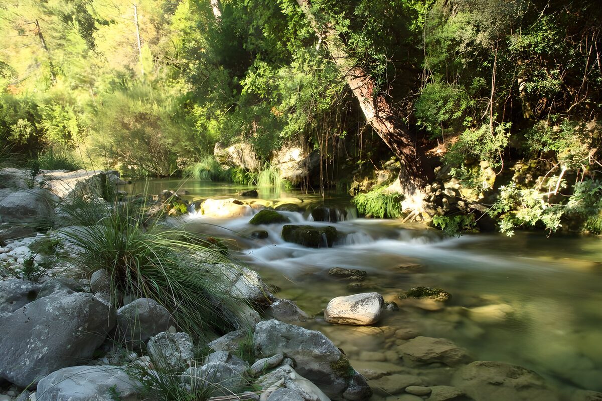 Woodland stream over sunlit rocks