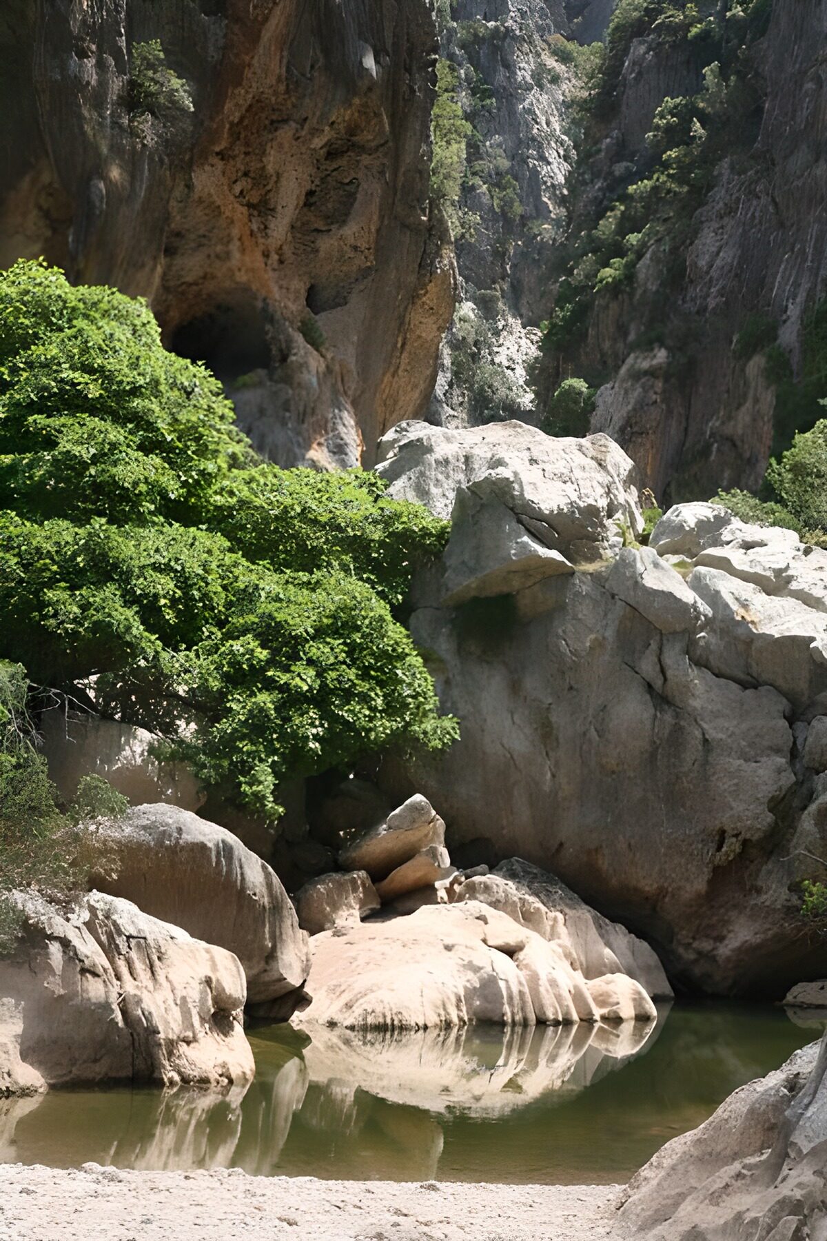 Sunlit boulders beside a still gorge pool