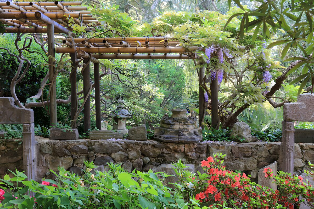 Wisteria and stone in a sheltered garden