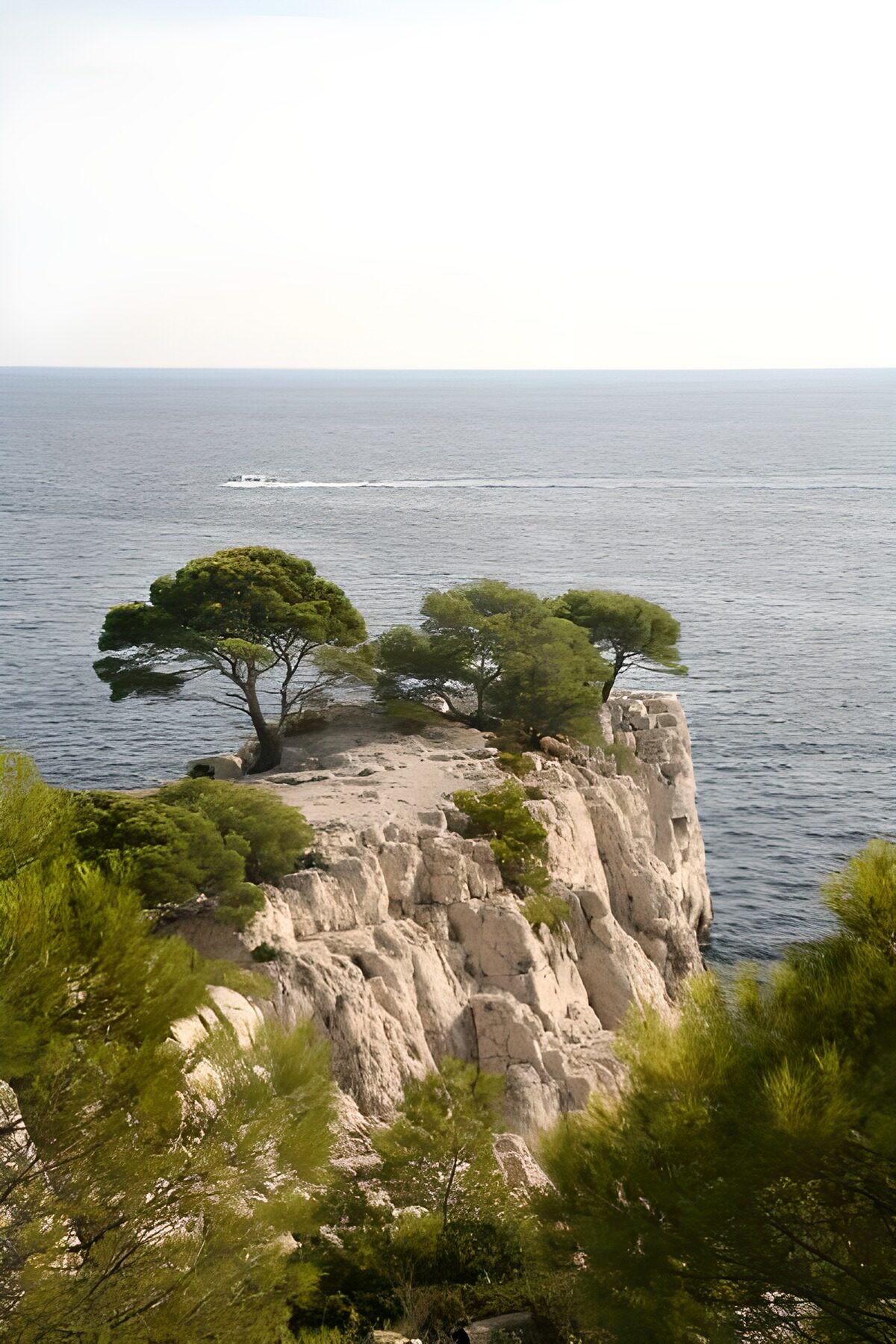 Sunlit cliffs and pines above a quiet sea