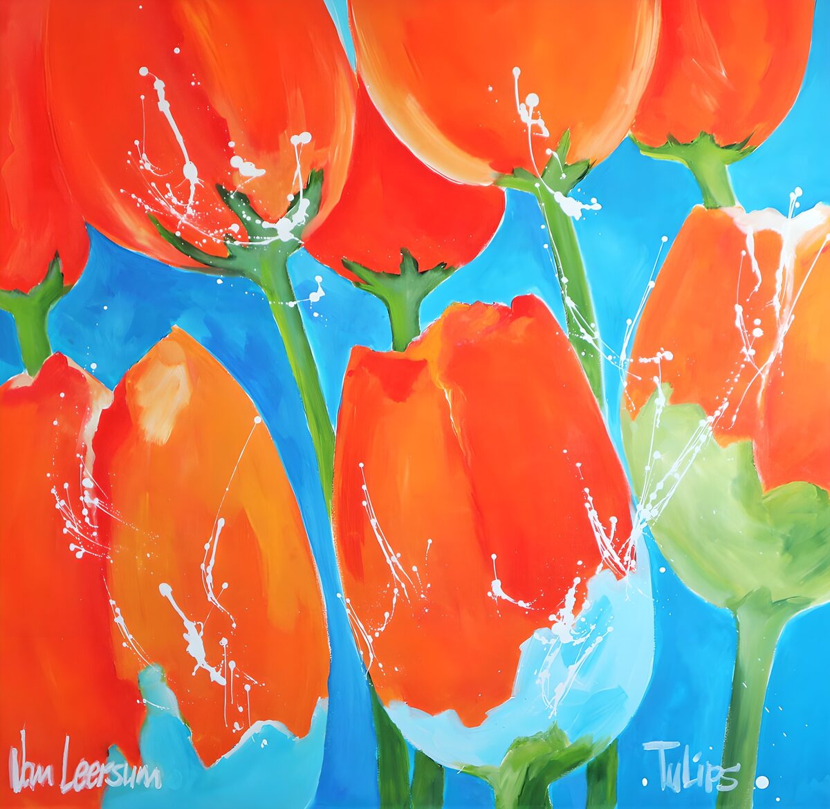 Bold orange and red tulips on blue