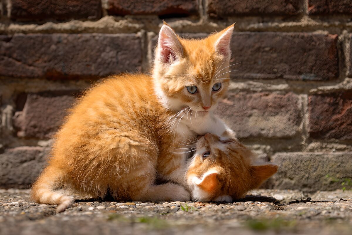 GCUK92578
